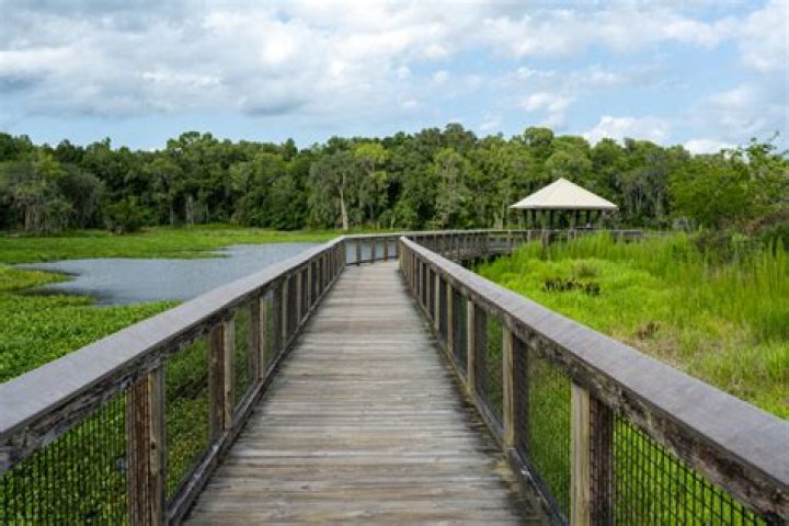 Exploring the Beauty of Paynes Prairie Preserve Florida