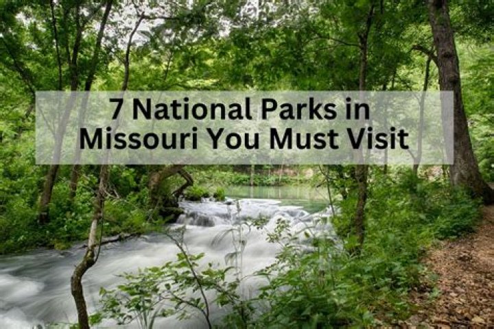 Exploring the Best Theme Parks in Missouri: A Comprehensive Guide