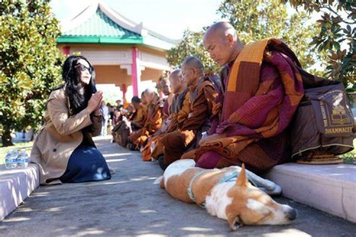 Exploring the Essence of Huong Sen: A Journey Through Culture and Nature