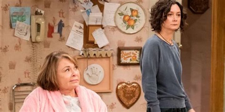 Exploring the Life and Career of Dan Conner from Roseanne