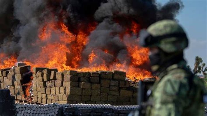 Exploring the Phenomenon of "No Me Pises Pa Original": A Cultural and Artistic Journey