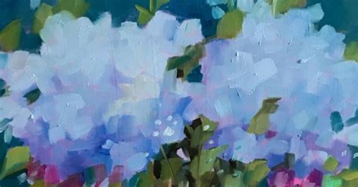 Exploring the Vibrant World of Blues Nation: A Comprehensive Guide