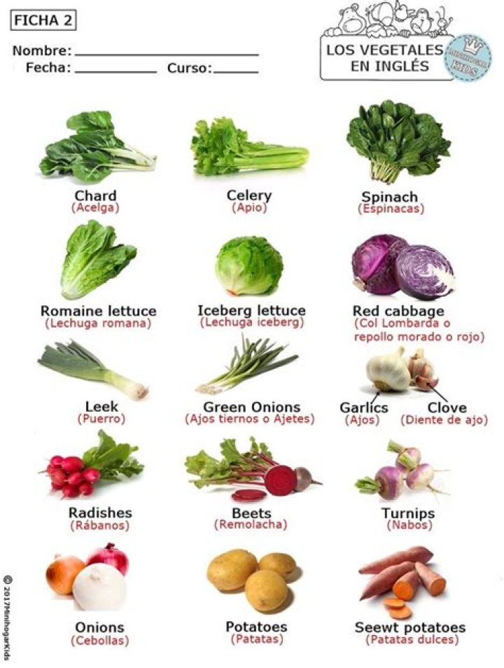 Exploring the World of Vegetales en Ingles