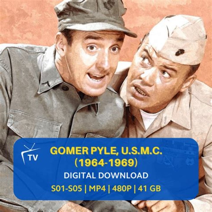 Gomer Pyle USMC Cast: A Journey Through Time and Talent