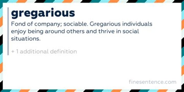 Gregarious Definition: Understanding the Art of Sociability and Its Impact on Life