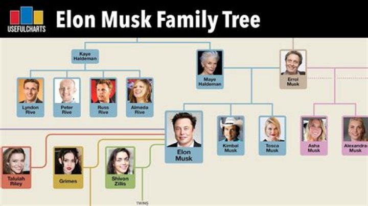 Griffan Musk: The Rising Star in the Musk Family Empire
