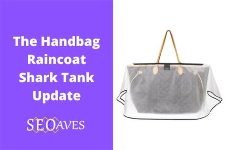 Handbag Raincoat Net Worth: A Deep Dive into the Buzz