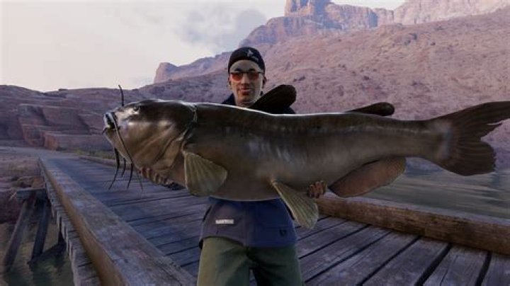 Hank Parker Net Worth: Exploring the Life and Wealth of the Legendary Angler