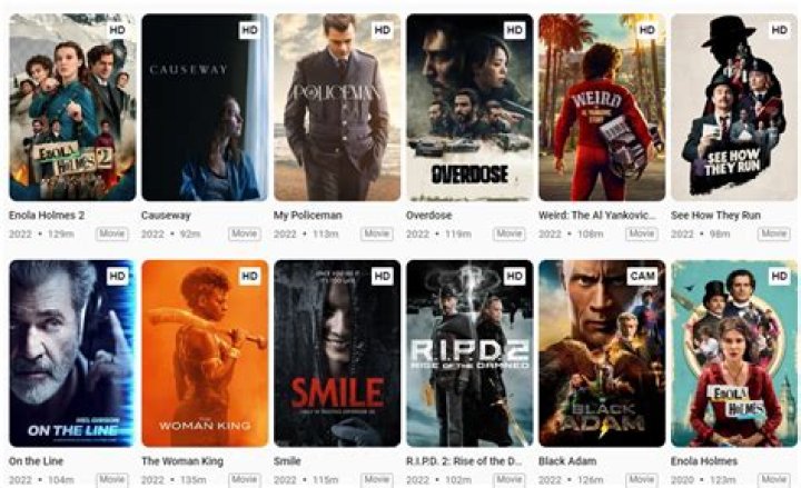 HDHub.In Movie Download: The Ultimate Guide to Streaming and Downloading Movies Online
