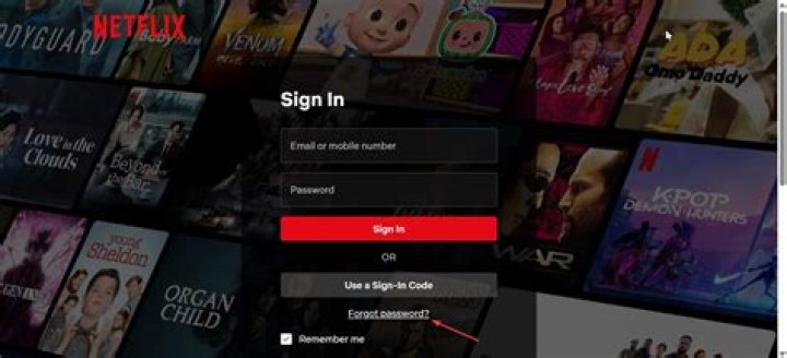 How to Access Netflix for Free: A Comprehensive Guide to Enjoy Streaming Without Breaking the Bank