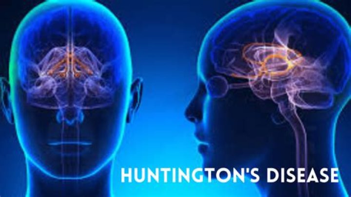 Huntington Help: A Comprehensive Guide to Understanding and Supporting Huntington's Disease