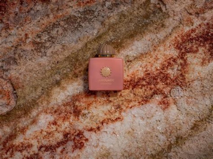 Ice Spice Fan: A Deep Dive into the Phenomenon