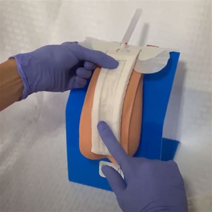 Innovative Solutions for Van Build Urine Management