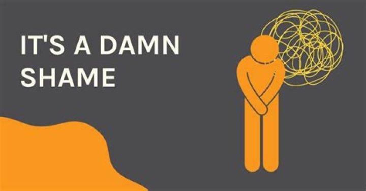 It's a Damn Shame: Understanding the Impacts and Implications