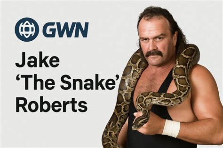 Jake 'The Snake' Roberts: The Iconic WWF Wrestler's Legacy