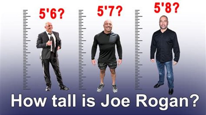 Joe Rogan Height: The Ultimate Guide to His Life, Career, and Stats