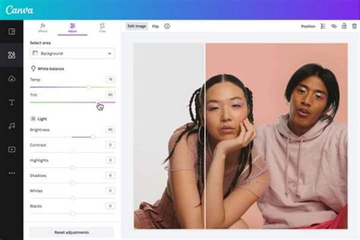 Kari Lake Nationality: Understanding the Background of a Prominent Figure in American Politics