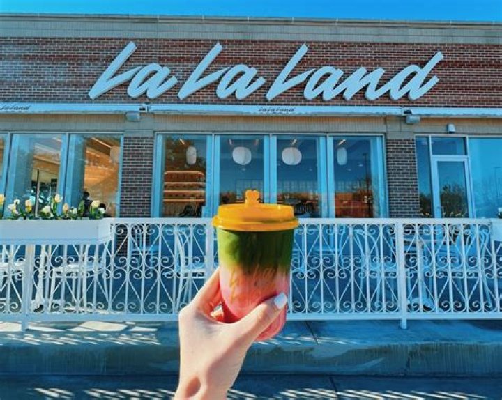 Lala Land Cafe: A Dreamy Culinary Escape