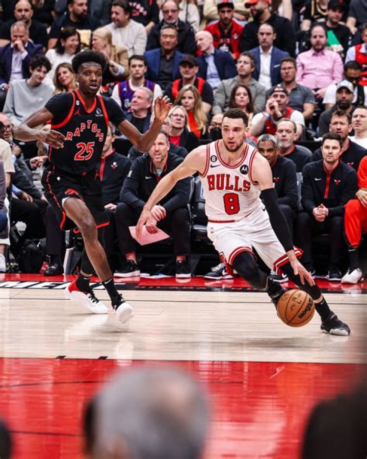 Lavine's: The Ultimate Guide to Discovering Lavine's Influence and Legacy