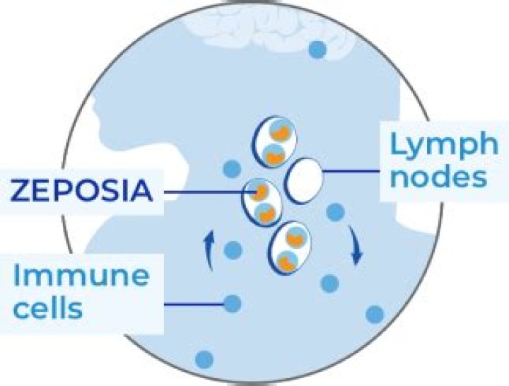 Learn More: Zeposia Live Events