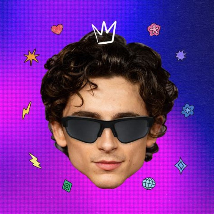 Lighten Up Your Feed: The Art of Unserious Insta Bios