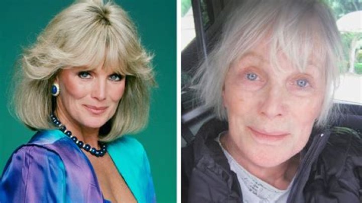 Linda Evans: A Comprehensive Look at Her Life, Career, and Legacy