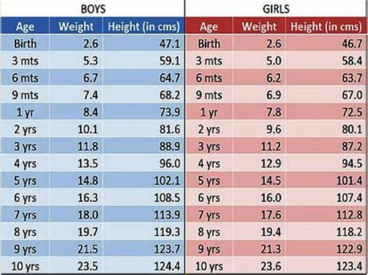 Liv Chmidt Height and Weight: A Comprehensive Guide