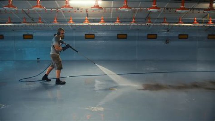 Majestic Poultry: A Comprehensive Guide to the World of High-Quality Poultry