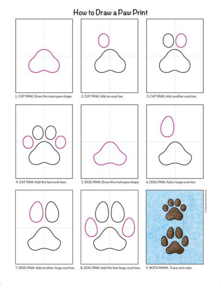 Mastering the Art of Drawing a Dog Paw: A Step-by-Step Guide