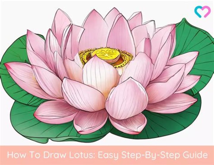 Mastering the Art of How to Draw a Lotus Flower