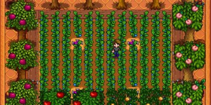 Maximizing Stardew Valley Revenue: A Comprehensive Guide to Farming Success