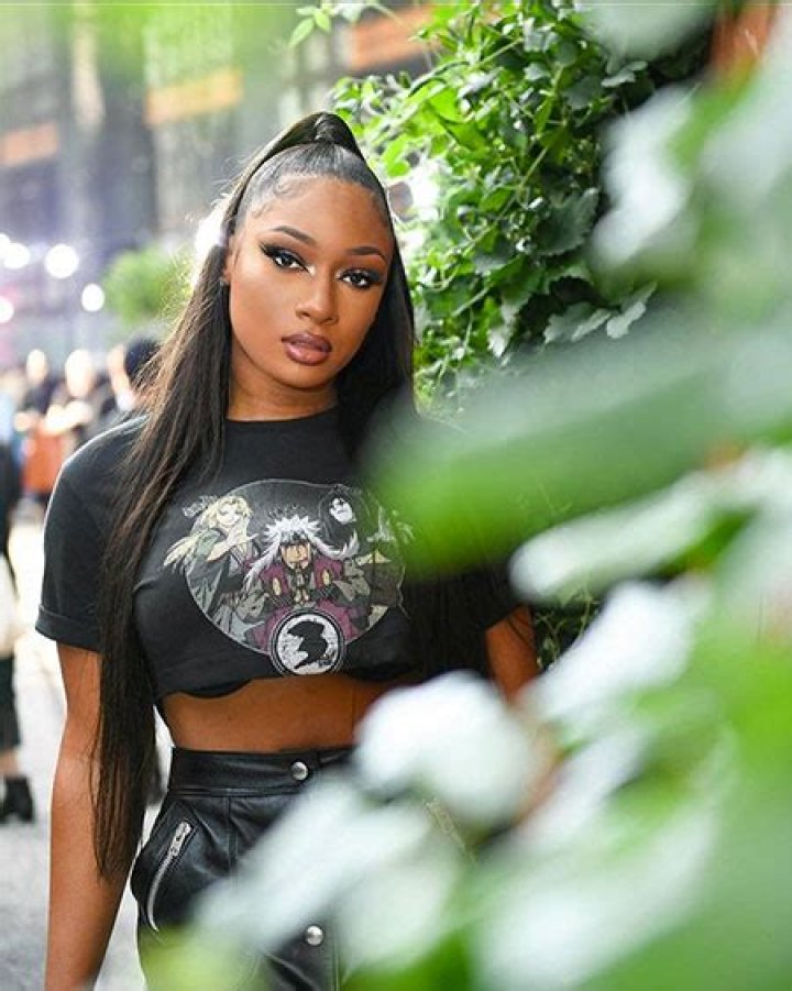 Megan Thee Stallion Costume Ideas: Unleash Your Inner Hot Girl