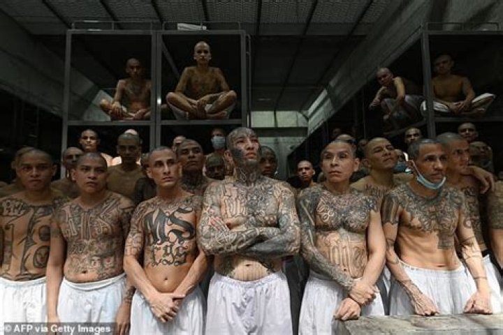 MS13 Gang Map: Understanding the Geography and Influence of One of the World's Most Notorious Gangs