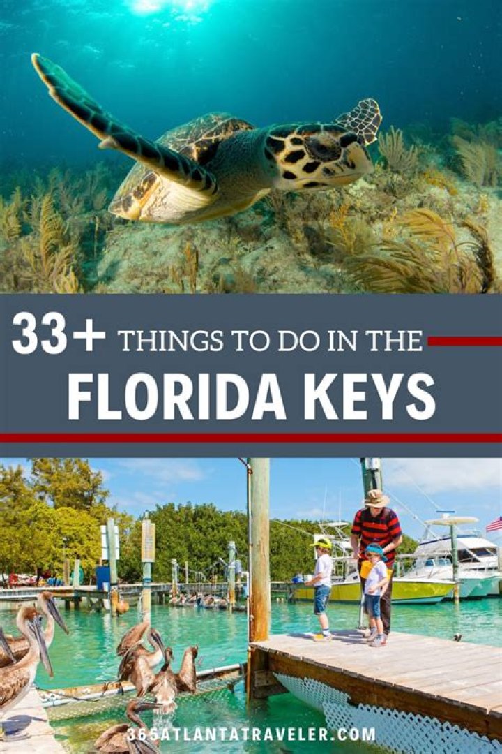 Nature Things to Do in Florida: A Guide to Discovering the Sunshine State's Natural Wonders