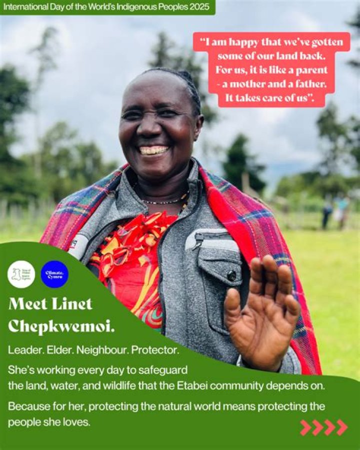 Norafawn Fans: The Rising Community of Supporters