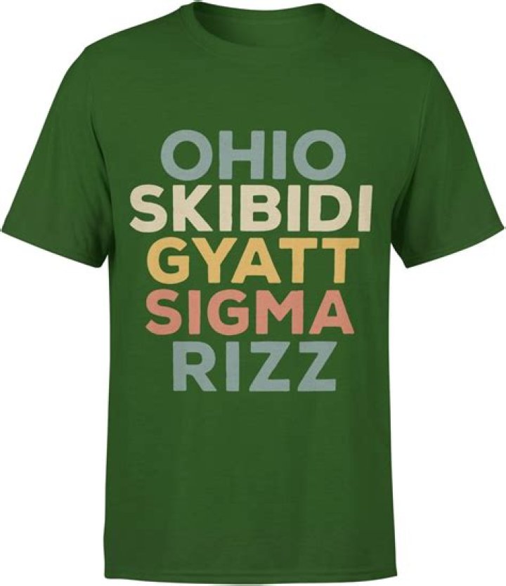 Ohio Skibidi Rizz: The Rise of a Viral Sensation