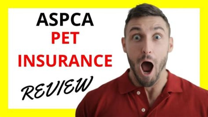 Pet Insurance ASPCA: Comprehensive Guide to Protecting Your Beloved Companion