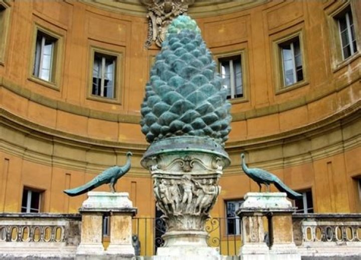 Pine Cone Courtyard: The Ultimate Guide to Serenity and Natural Beauty