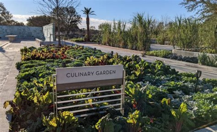 Pioneer Woman Passed Away: Remembering the Legacy of a Culinary Icon