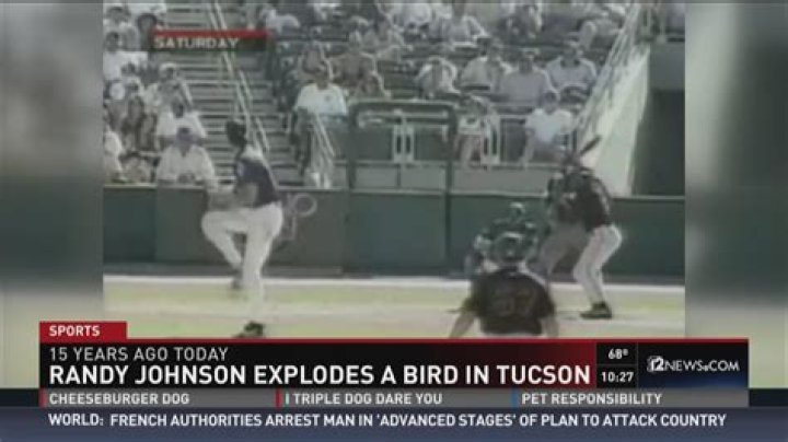 Pitcher Hitting a Bird: The Rare and Controversial Incident in Baseball
