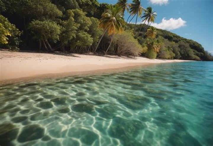 Puerto Rico Bahia: Discovering the Hidden Gem of the Caribbean