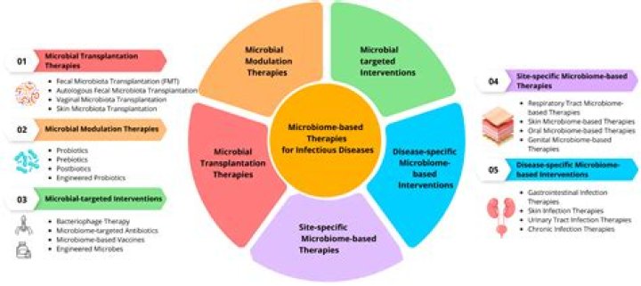 Rambo Wikia: A Comprehensive Exploration of the Iconic Action Hero