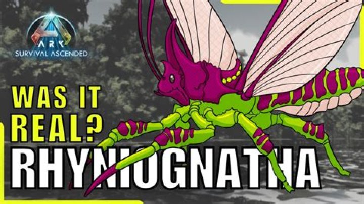 Rhyniognatha Fossil: Unveiling the Secrets of Earth's Earliest Insects