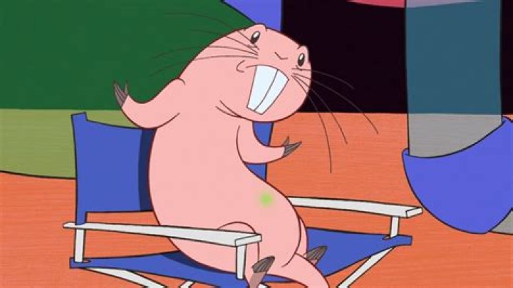 Rufus in Kim Possible: The Tiny Sidekick with a Big Impact