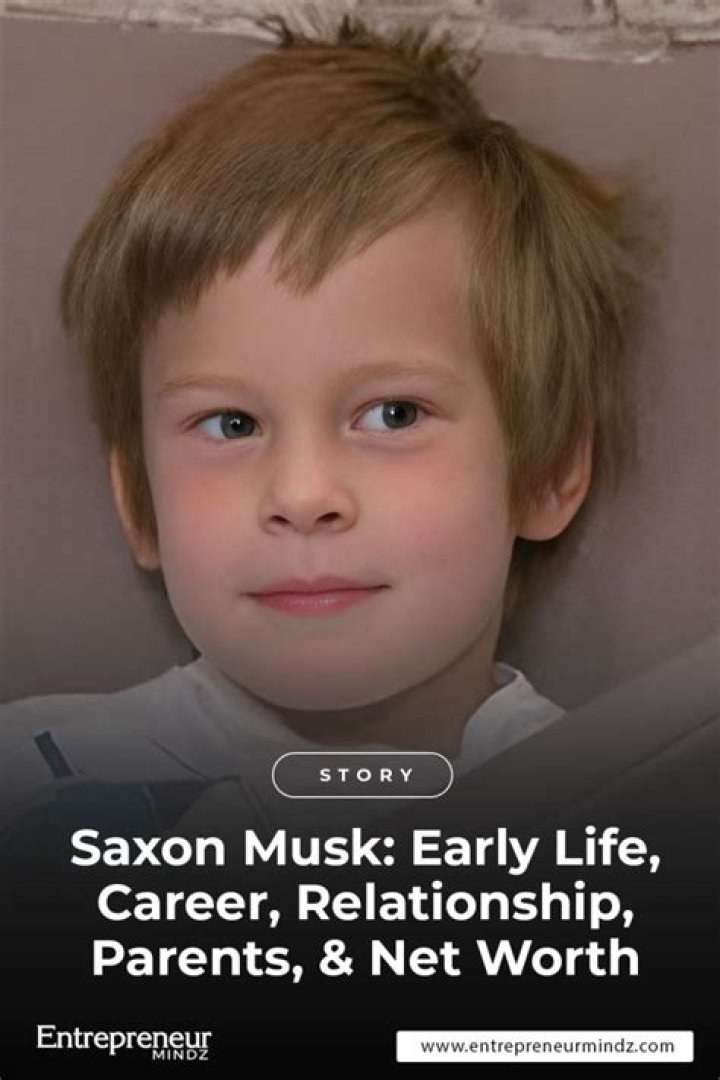 Saxon Musk: The Visionary Entrepreneur and His Impact on the Business World