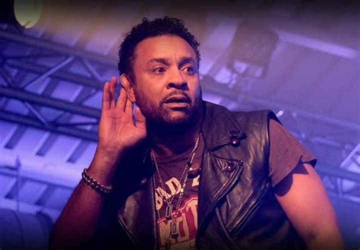 Shaggy Net Worth: A Deep Dive into the Wealth of the Reggae Star
