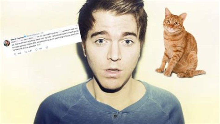 Shane Dawson Cat: A Comprehensive Exploration of the Internet Sensation