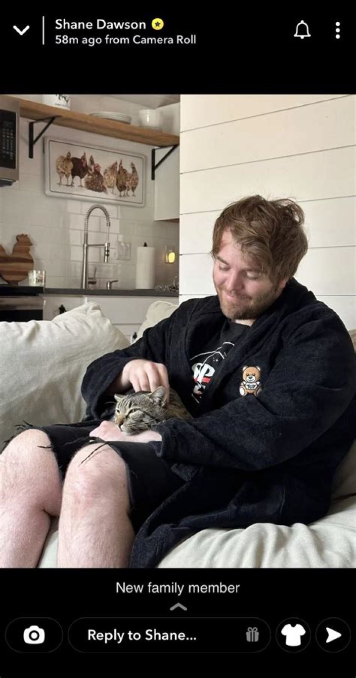 Shane Dawson Cat: A Comprehensive Guide to the Viral Sensation