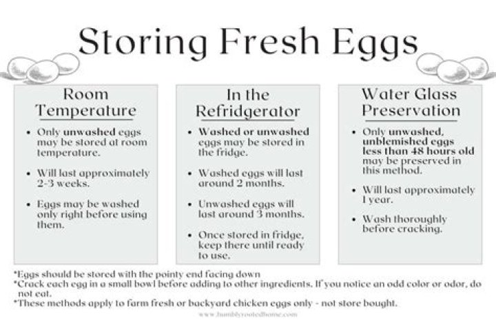 Shelf Life of Boiled Eggs Refrigerated: How Long Do They Last?