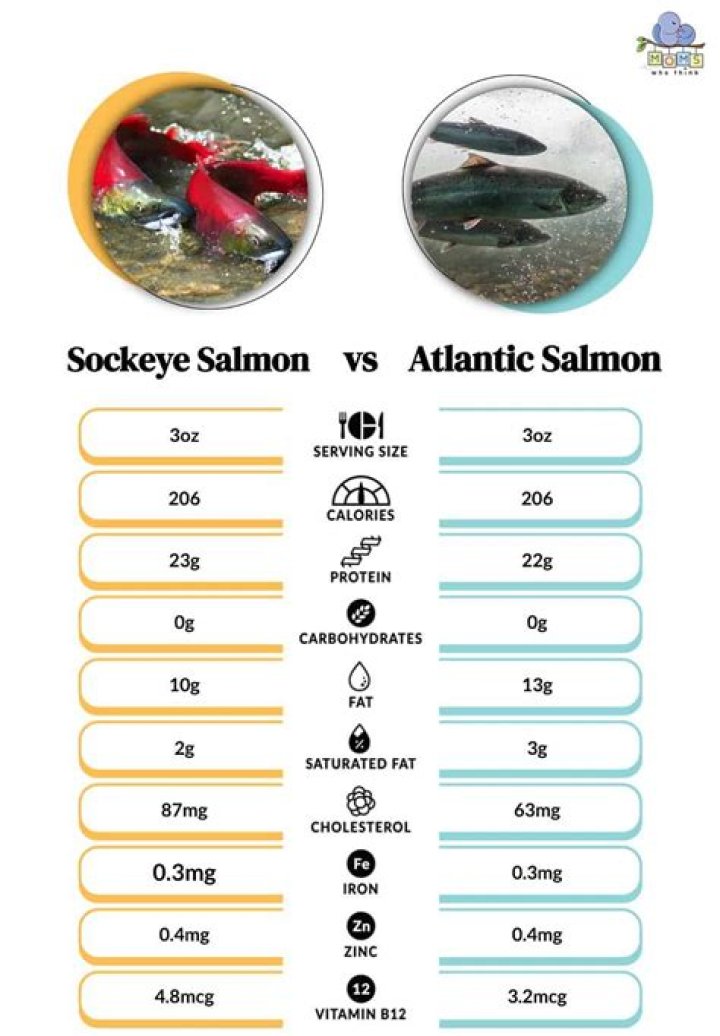 Sockeye vs Atlantic Salmon: The Ultimate Comparison